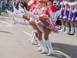 EFG-Faschingszug Auerbach 2025_47